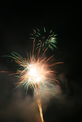 Thumbnail of Firework.jpg