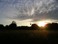 Thumbnail of Golden grass and dappled sky.jpg