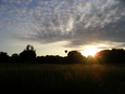 Golden grass and dappled sky